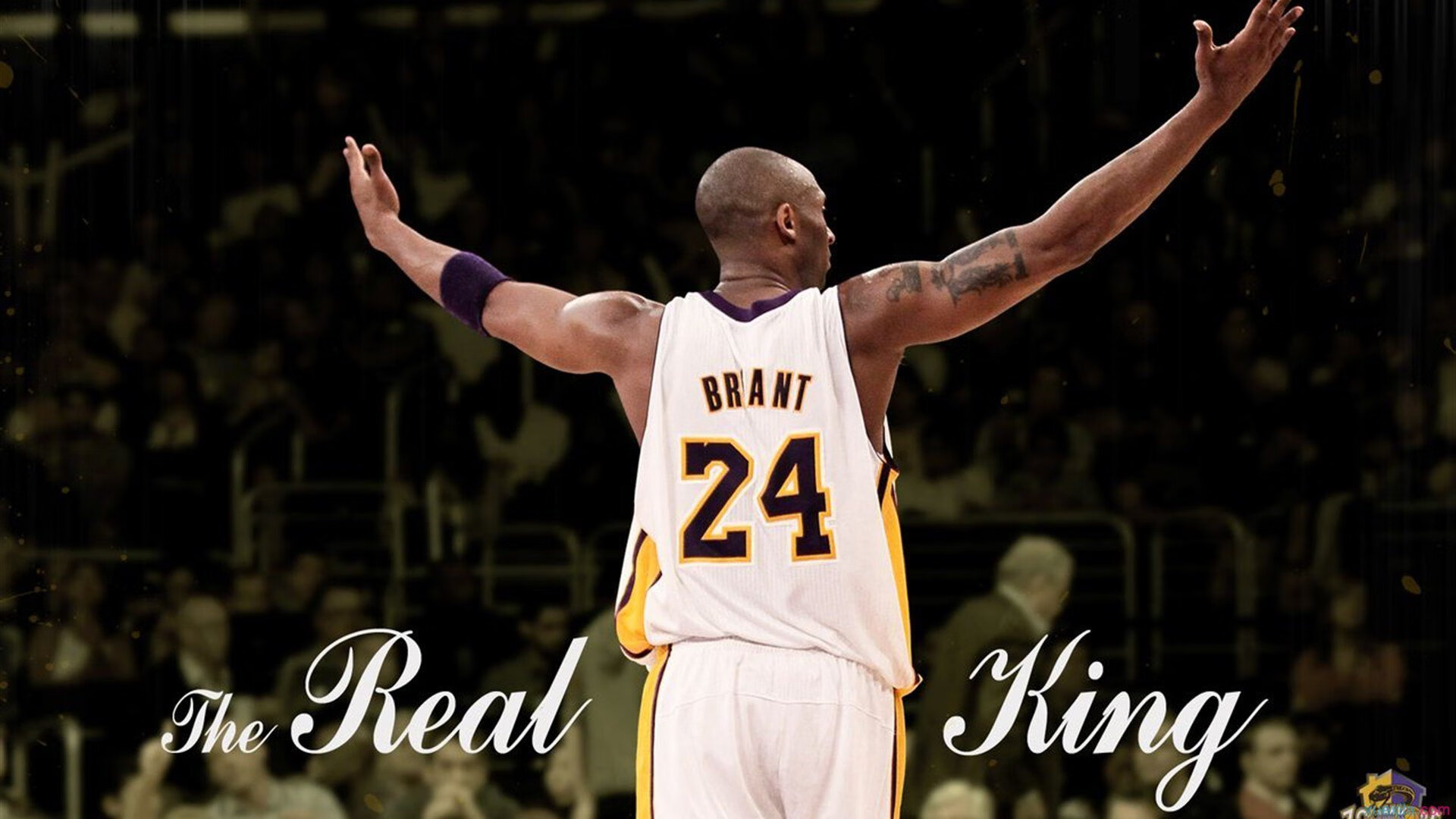  俄罗斯反恐电影报复 